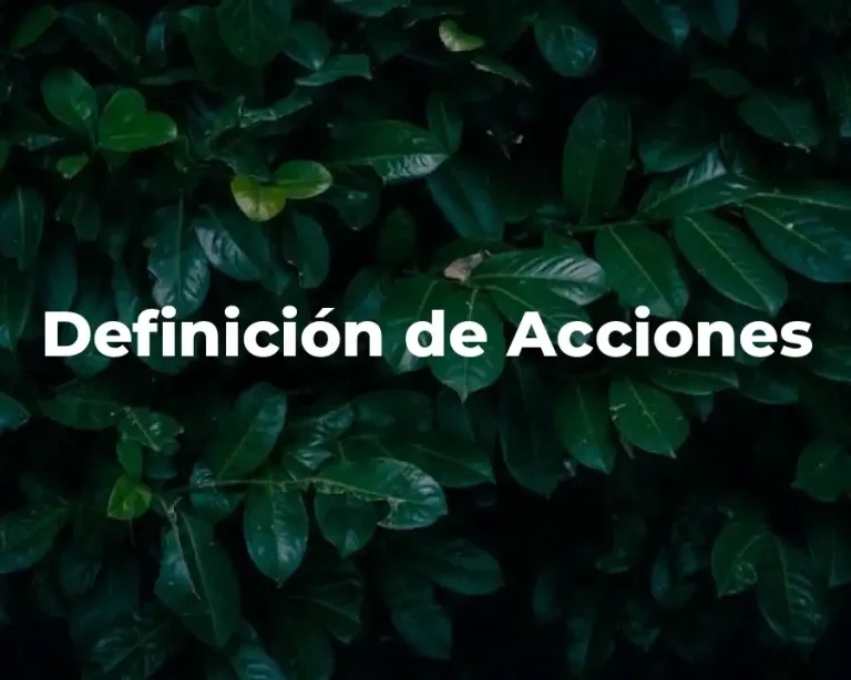 Definición de Acciones
