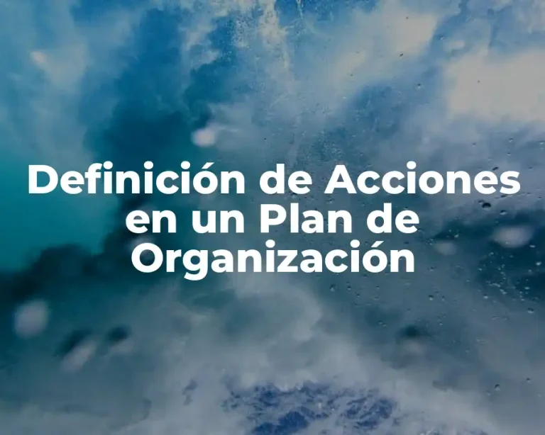 Definición de Acciones en un Plan de Organización