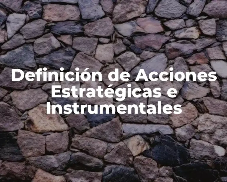 Definición de Acciones Estratégicas e Instrumentales