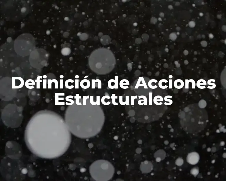 Definición de Acciones Estructurales