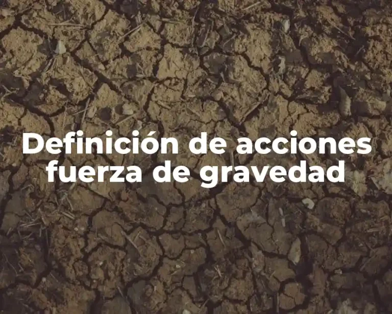 Definición de acciones fuerza de gravedad