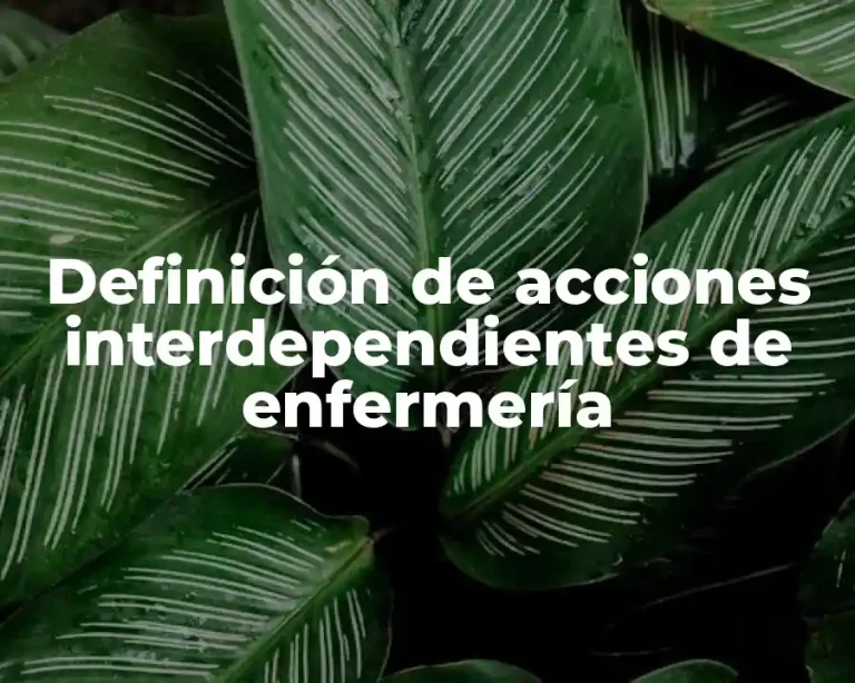 Definición de acciones interdependientes de enfermería