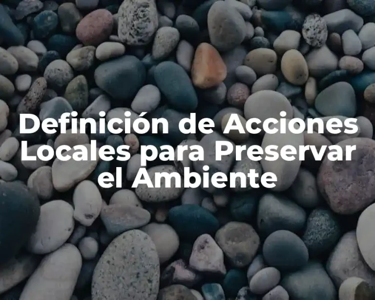 Definición de Acciones Locales para Preservar el Ambiente