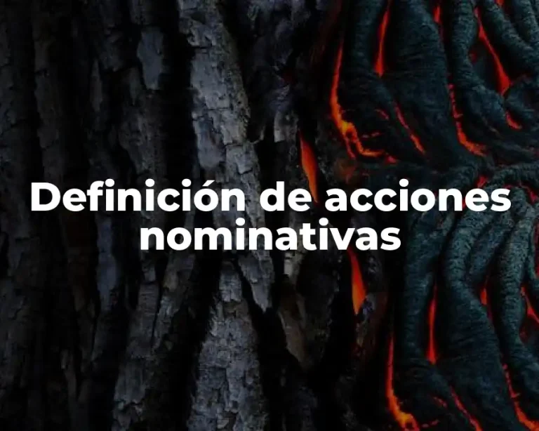 Definición de acciones nominativas