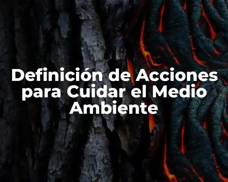 Definición de Acciones para Cuidar el Medio Ambiente