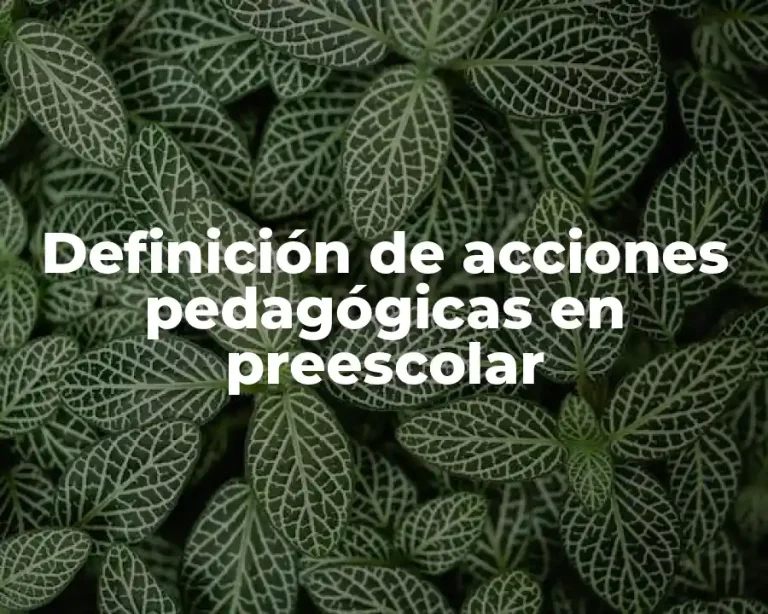 Definición de acciones pedagógicas en preescolar