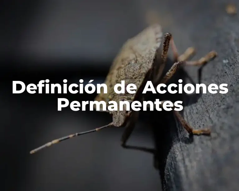 Definición de Acciones Permanentes
