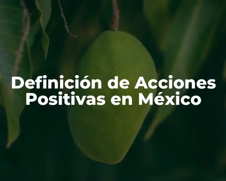 Definición de Acciones Positivas en México
