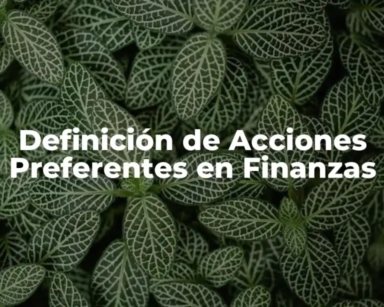 Definición de Acciones Preferentes en Finanzas