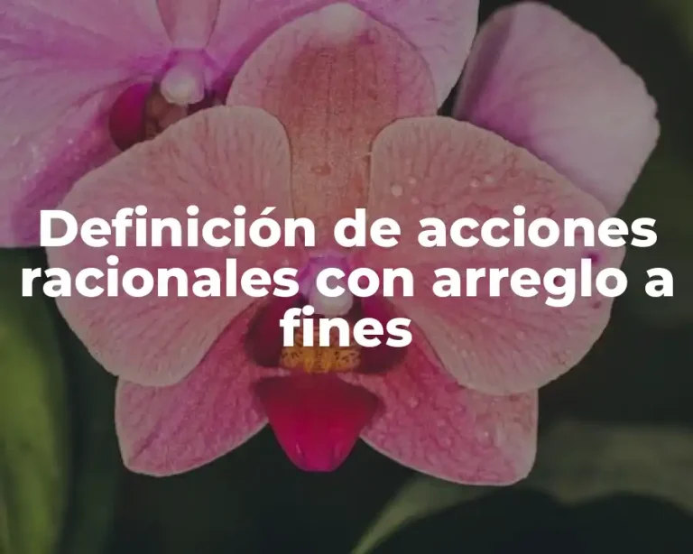 Definición de acciones racionales con arreglo a fines