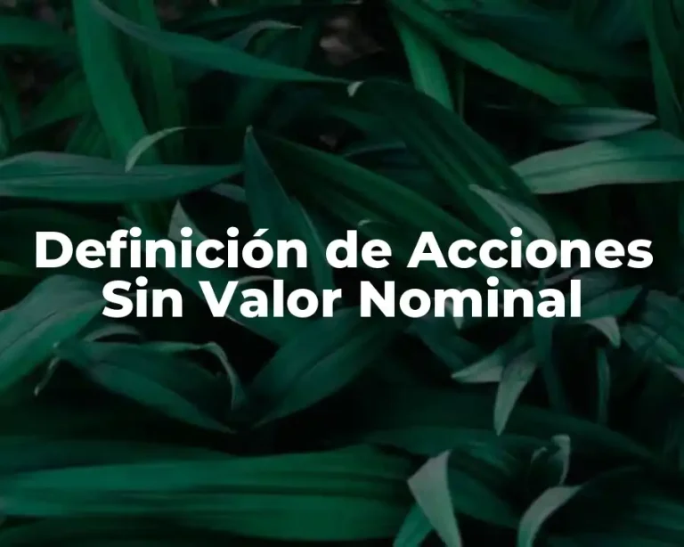 Definición de Acciones Sin Valor Nominal