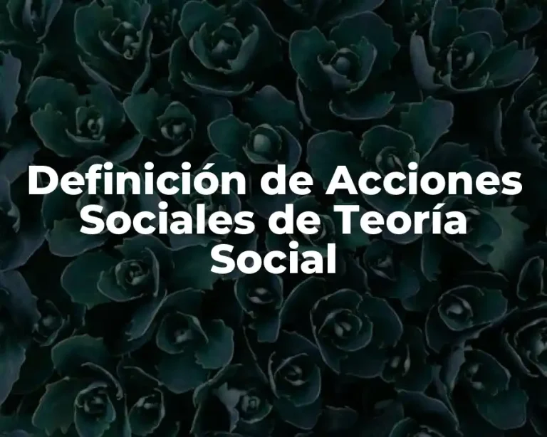 Definición de Acciones Sociales de Teoría Social
