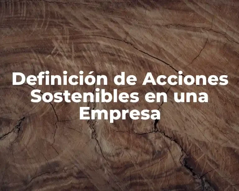 Definición de Acciones Sostenibles en una Empresa