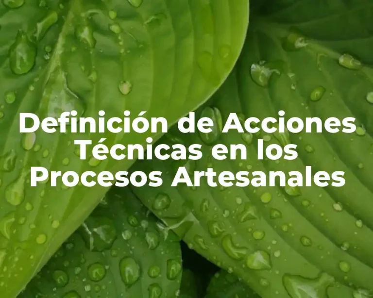 Definición de Acciones Técnicas en los Procesos Artesanales
