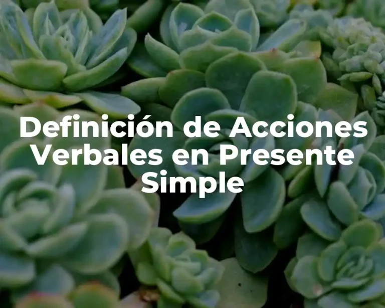 Definición de Acciones Verbales en Presente Simple