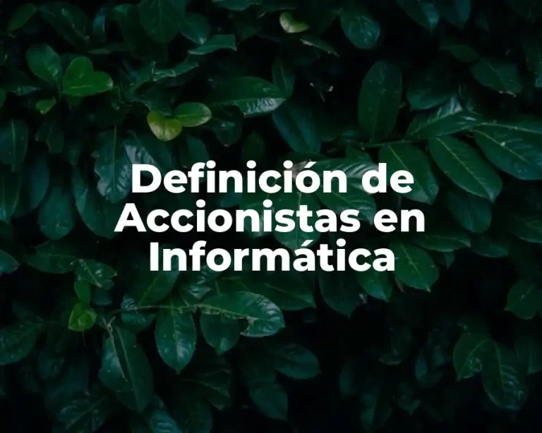 Definición de Accionistas en Informática