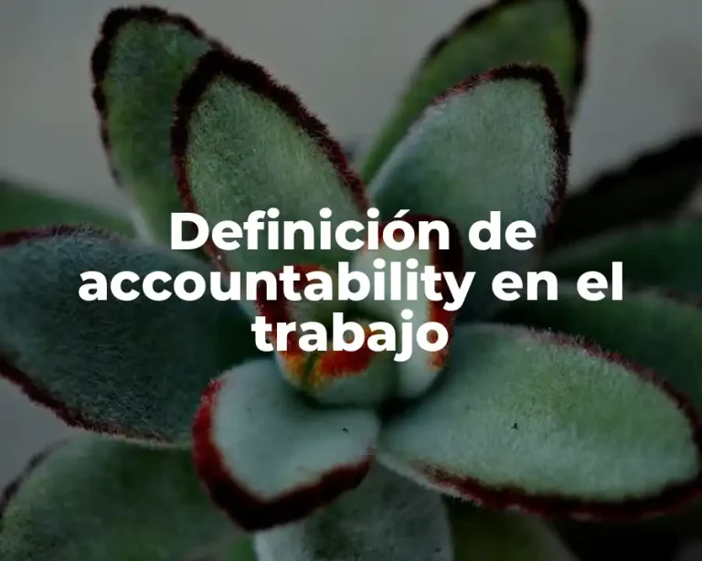 Definición de accountability en el trabajo