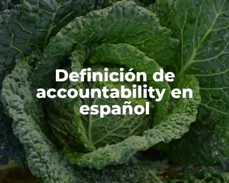 Definición de accountability en español