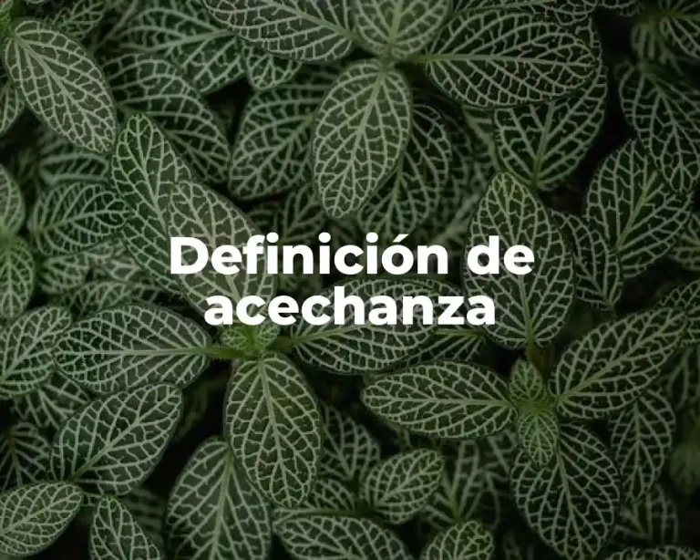 Definición de acechanza
