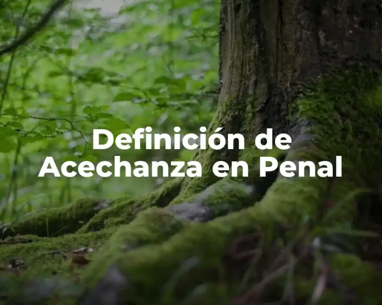 Definición de Acechanza en Penal