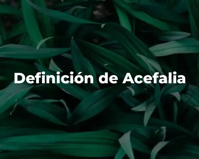 Definición de Acefalia