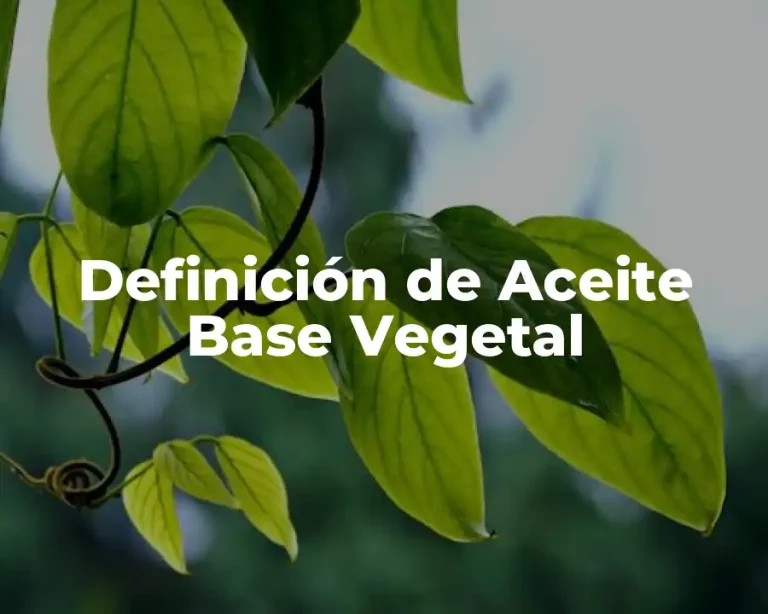 Definición de Aceite Base Vegetal
