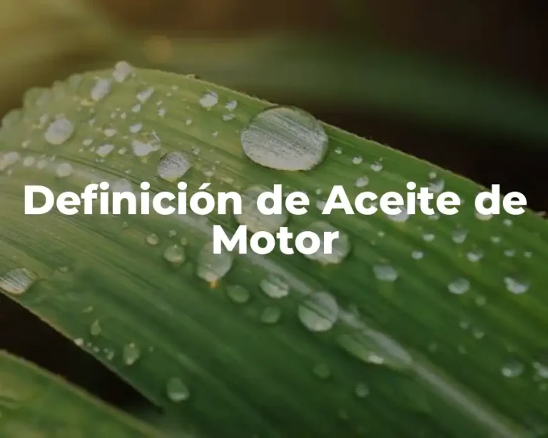 Definición de Aceite de Motor