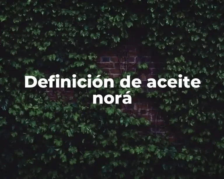 Definición de aceite norá