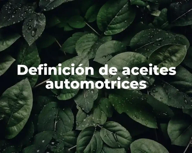 Definición de aceites automotrices