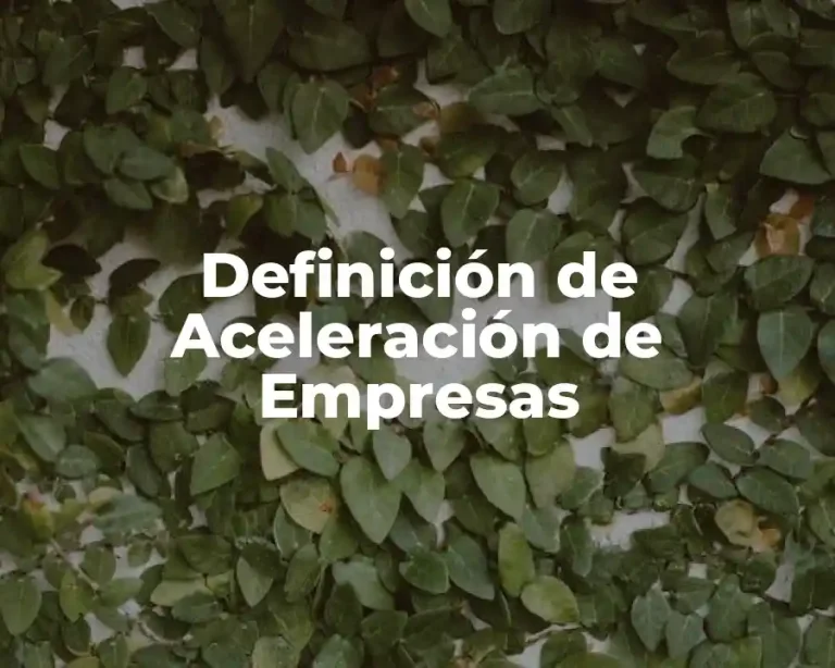 Definición de Aceleración de Empresas