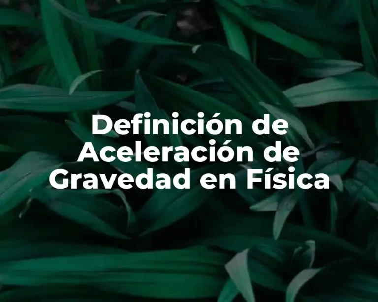 Definición de Aceleración de Gravedad en Física