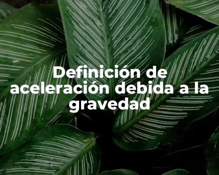 Definición de aceleración debida a la gravedad