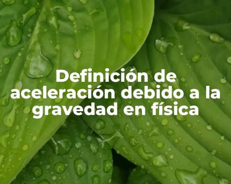 Definición de aceleración debido a la gravedad en física