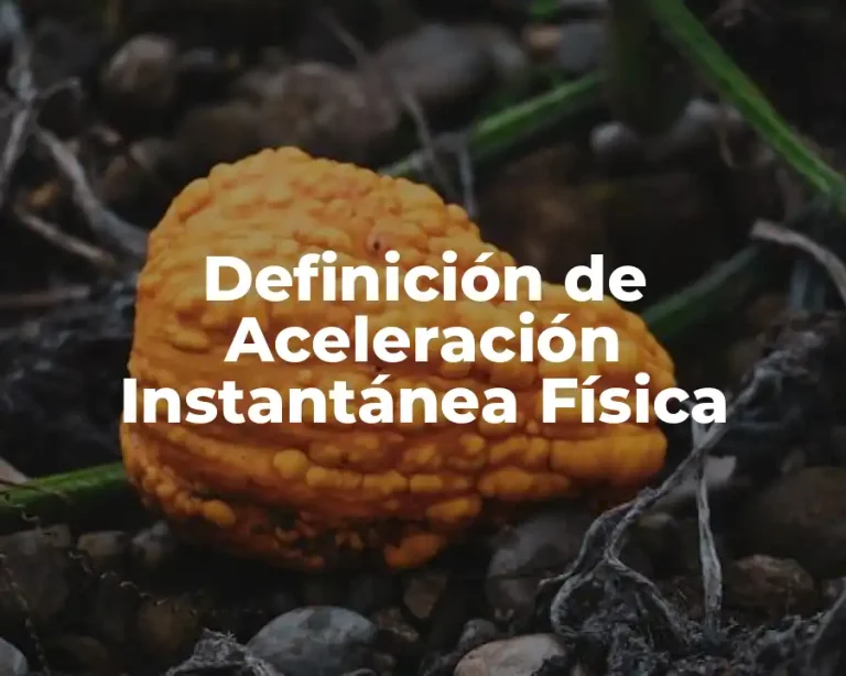 Definición de Aceleración Instantánea Física