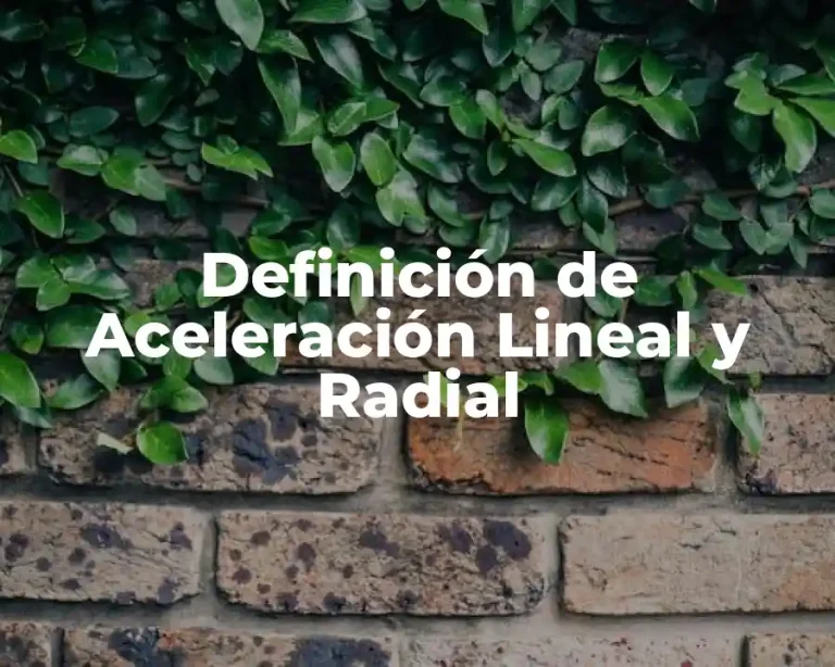 Definición de Aceleración Lineal y Radial
