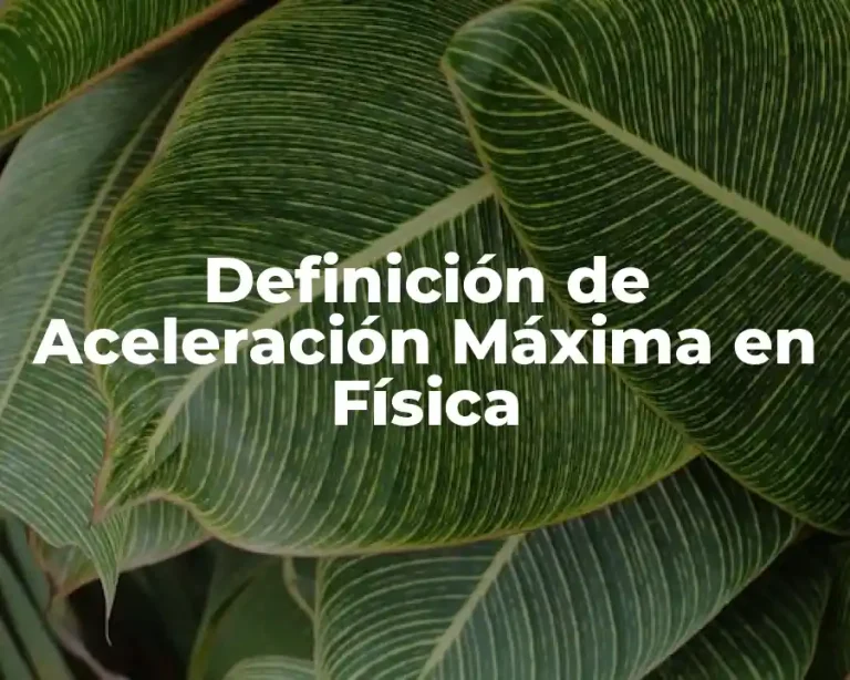 Definición de Aceleración Máxima en Física