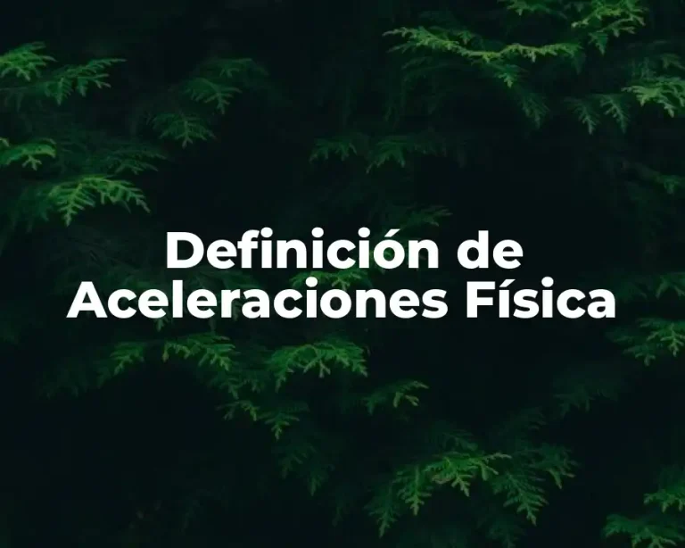 Definición de Aceleraciones Física