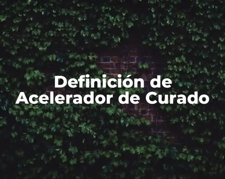 Definición de Acelerador de Curado