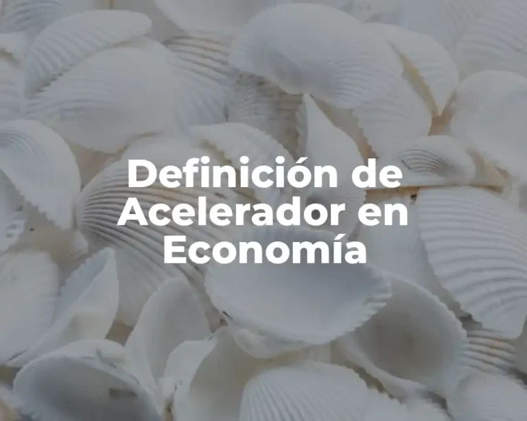 Definición de Acelerador en Economía