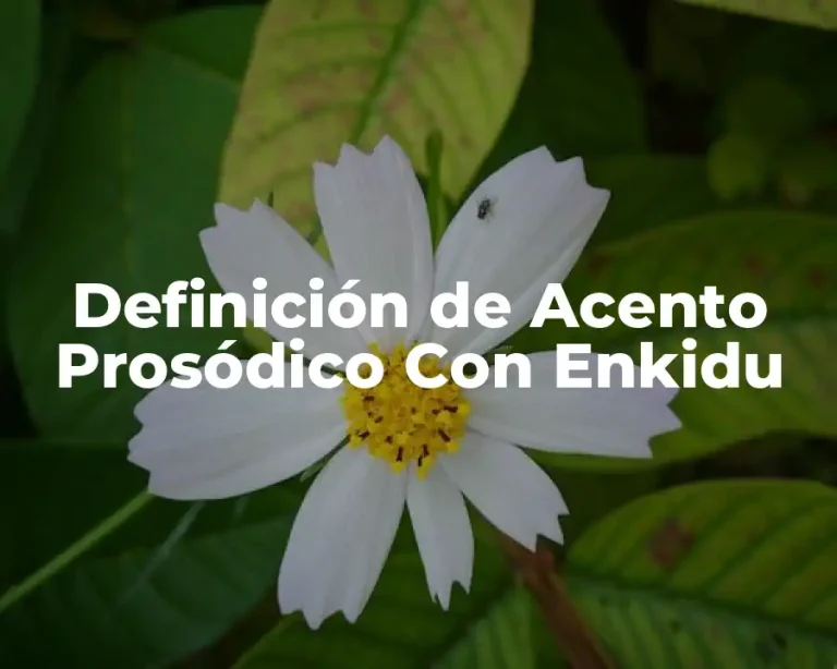 Definición de Acento Prosódico Con Enkidu