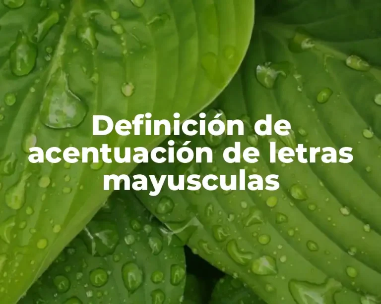 Definición de acentuación de letras mayusculas