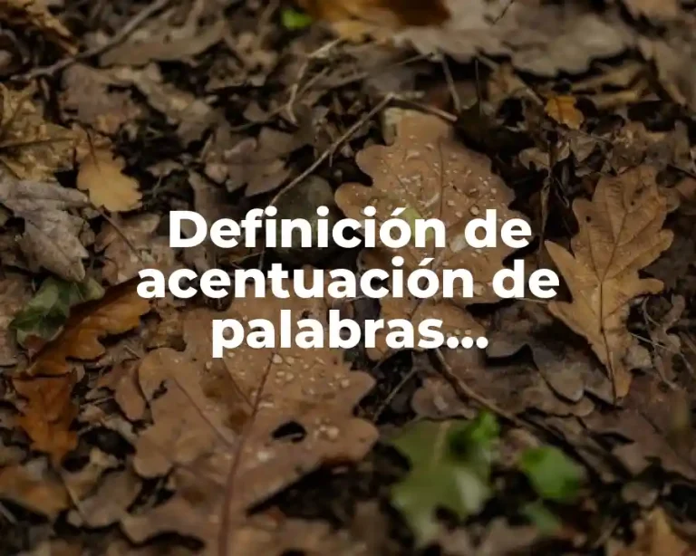 Definición de acentuación de palabras sobreesdrujulas