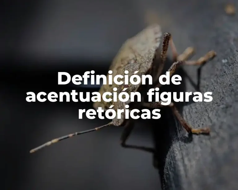 Definición de acentuación figuras retóricas