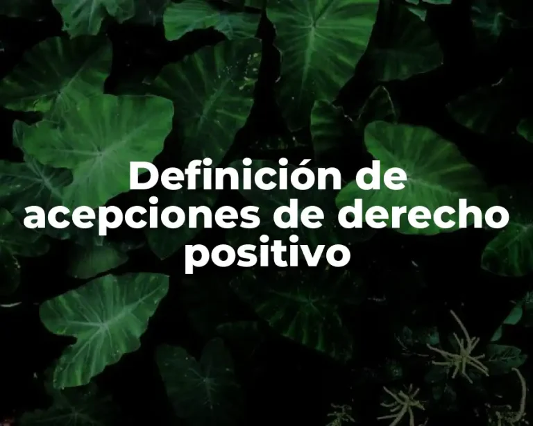 Definición de acepciones de derecho positivo