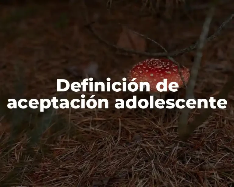 Definición de aceptación adolescente