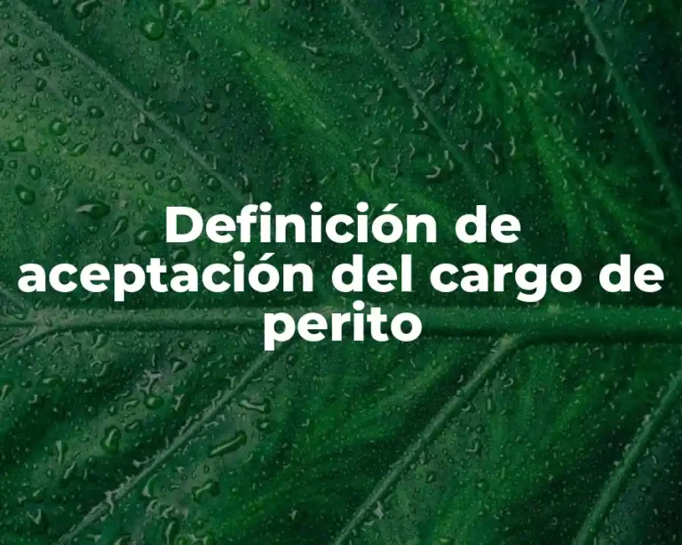 Definición de aceptación del cargo de perito