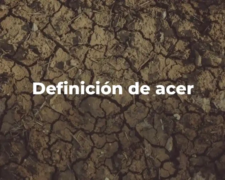 Definición de acer