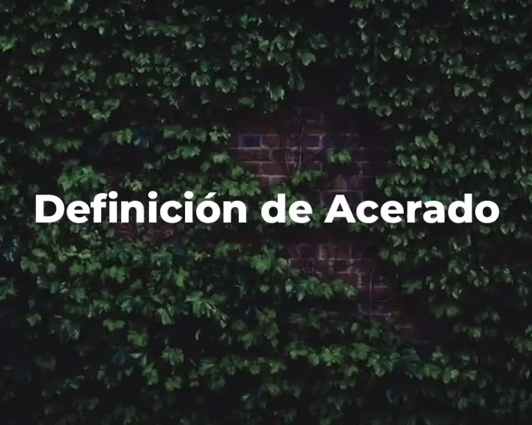 Definición de Acerado