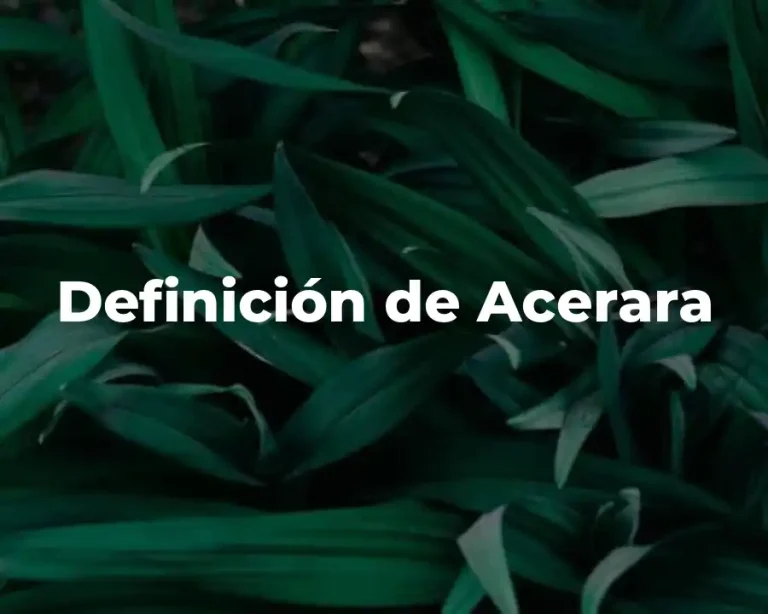 Definición de Acerara