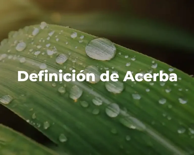 Definición de Acerba